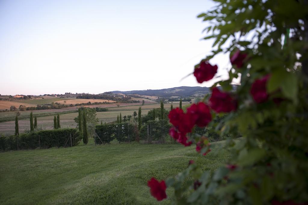 Готель Agriturismo La Corte Dei Sogni Торріта-ді-Сьєна Екстер'єр фото