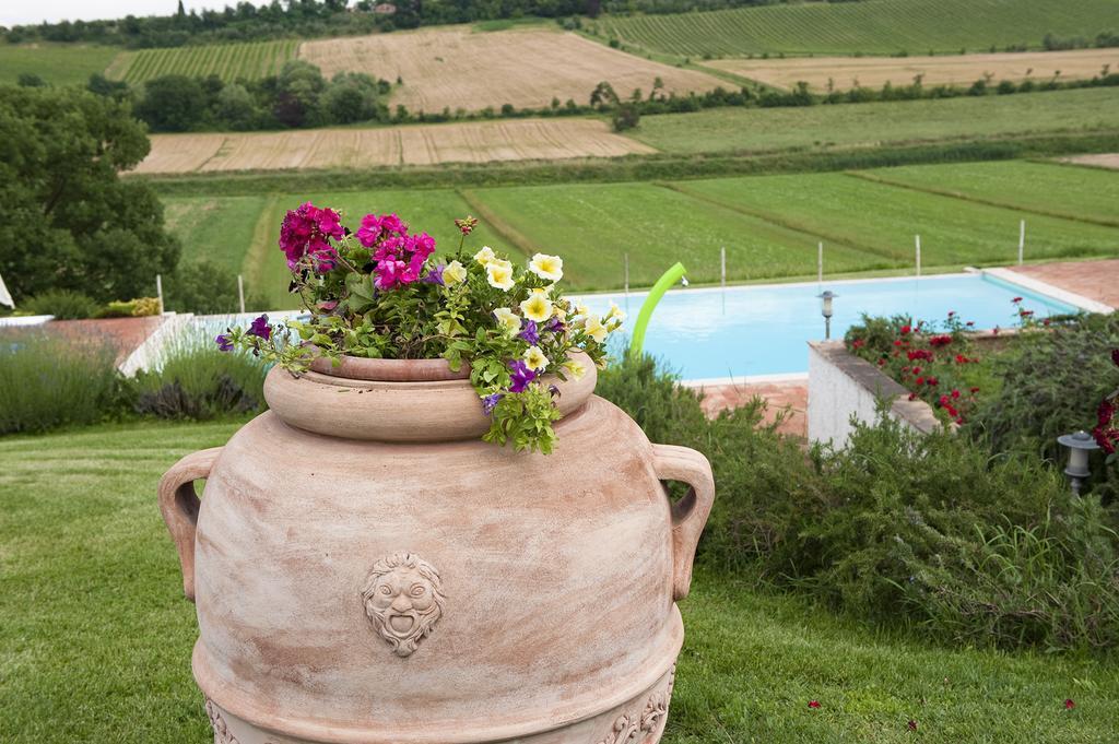 Готель Agriturismo La Corte Dei Sogni Торріта-ді-Сьєна Екстер'єр фото