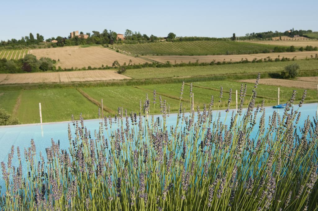 Готель Agriturismo La Corte Dei Sogni Торріта-ді-Сьєна Екстер'єр фото